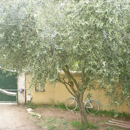 Entre Vignes Et Oliviers *