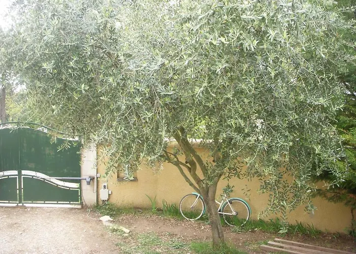 Entre Vignes Et Oliviers *